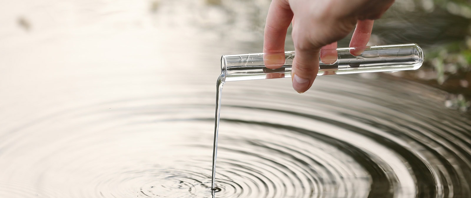 Software Enhancements Update Software Enhancements Update